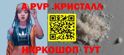 шишки Тара