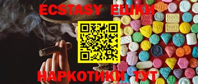 шишки Тара