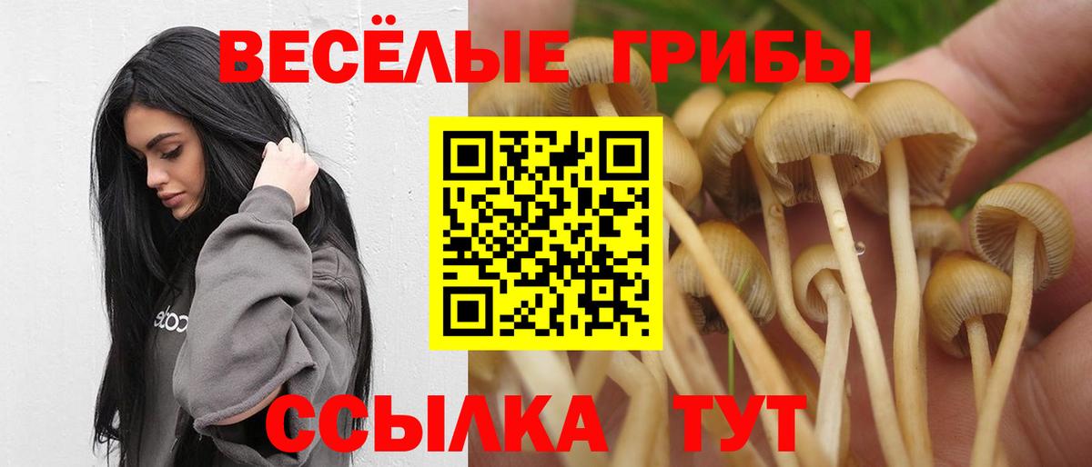 Нефтеюганск  Галлюциногенные грибы ЛСД  Вход с VPN 